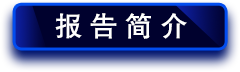 報(bào)告簡介